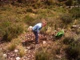 Foto 1 en miniatura